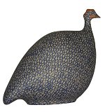 Guinea Fowl - Pintade<br>Gray Speckled Cobalt Blue